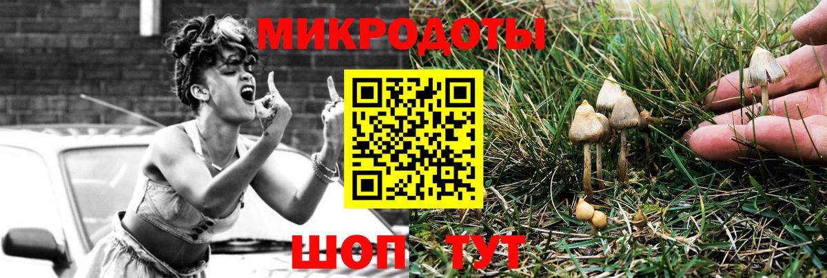 Галлюциногенные грибы Psilocybine cubensis Артём